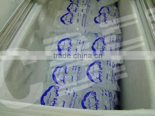 Latest Technology Ice Cube Making Machine with Packing System