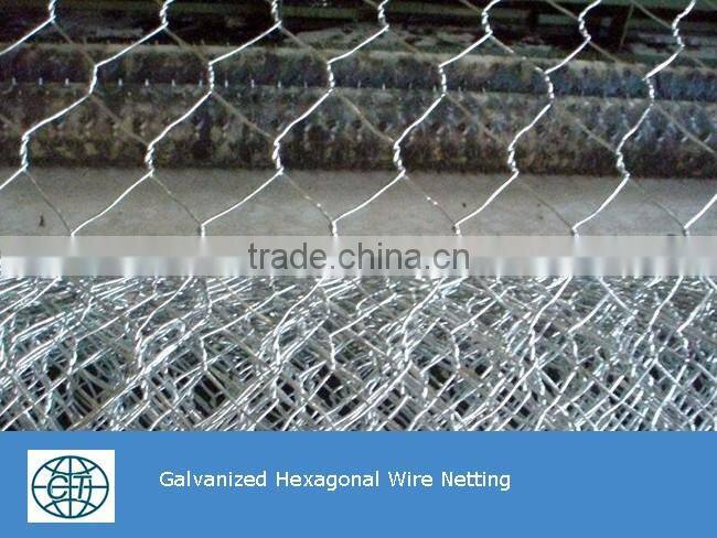 PVC Coated Wire Hexagonal Wire Netting For Chicken Wire