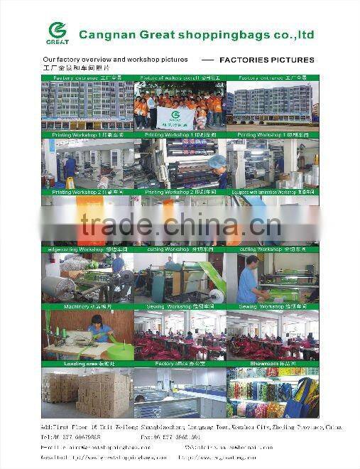 2013 Promtional PP Woven Bag With Diecut Handle