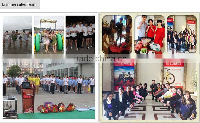 2016 mini 2 wheel stand up self balance electric skateboard, adult electric skateboard, skate electric skateboard electric scoot