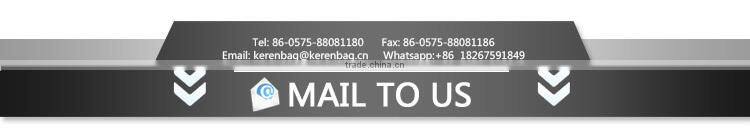 China Manufacturer Exotic new design fashion handbag for women