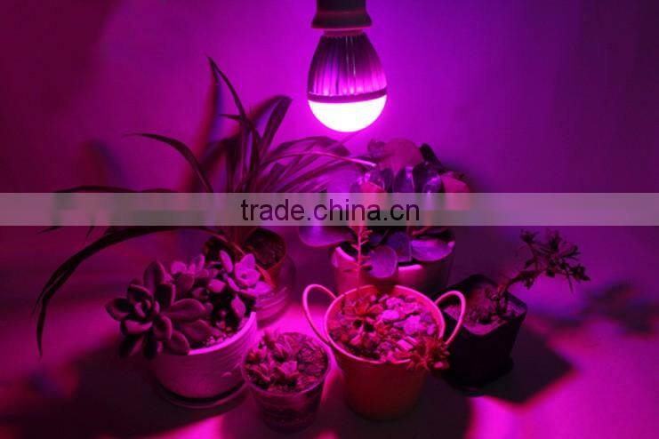 High power 3w indoor light for salads and garden herbs 3w led grow lights