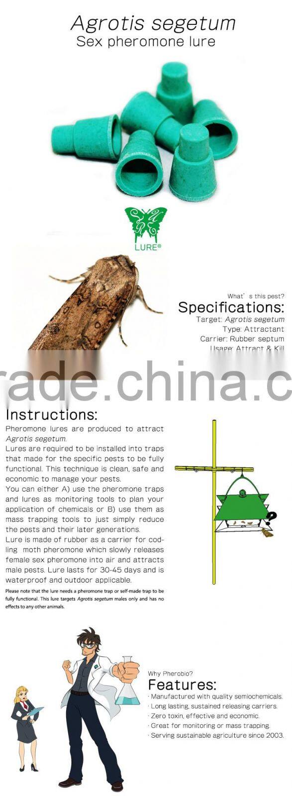 Pheromone Lure For Agrotis Segetum (The Turnip Moth), Sex Pheromone Attractant