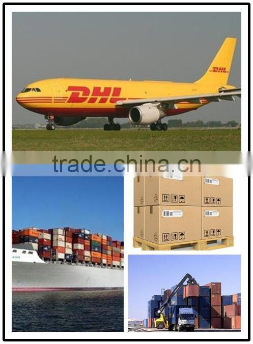 Best sale chicken goose duck plucking scalding machine/chicken scalder