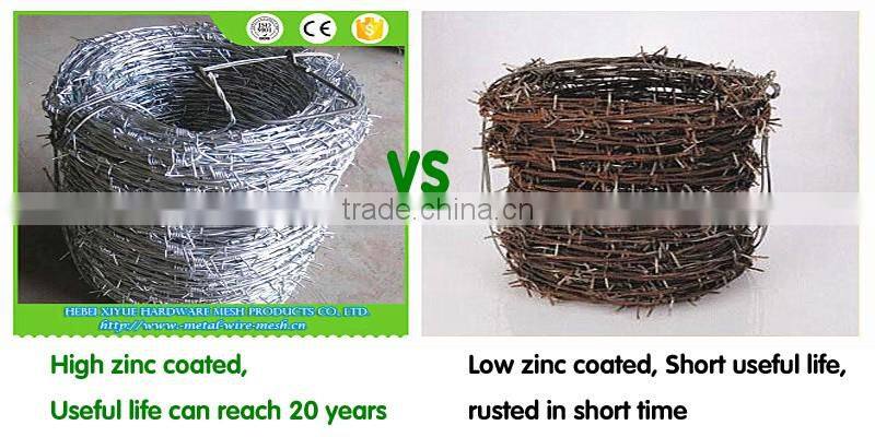 hot Galvanized double twisted 14#x14# barbed wire fob price per roll