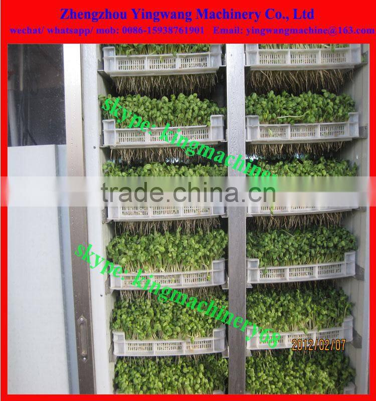 food machine to produce bean sprouts