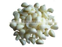 Fast Speed Garlic Grinding Machine Ginger Smasher (whatsapp:0086 15039114052)