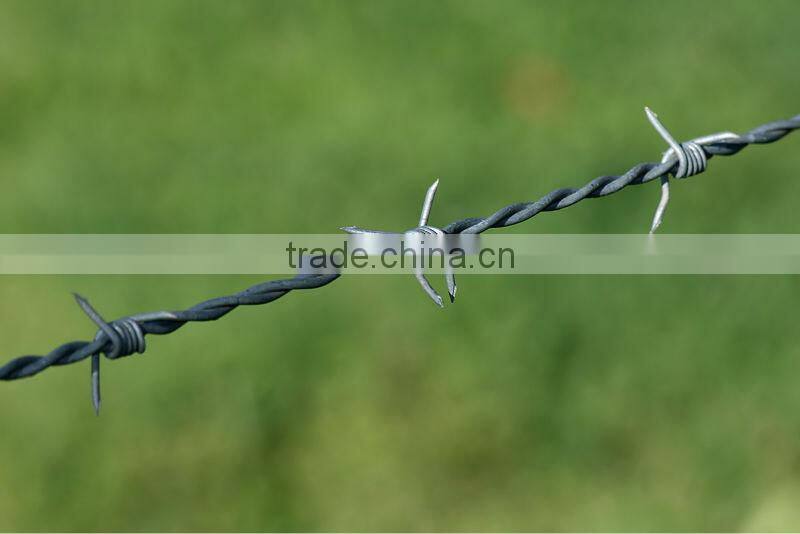 Barbed wire fence (factory)
