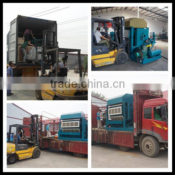 paper pulp molding egg carton machine factory