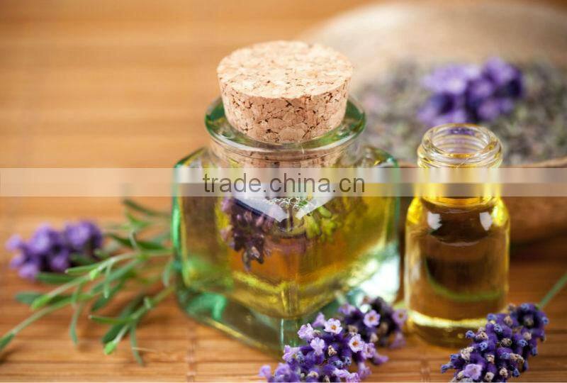 50L High Quality Lavender oil extract machine on sale (EC)