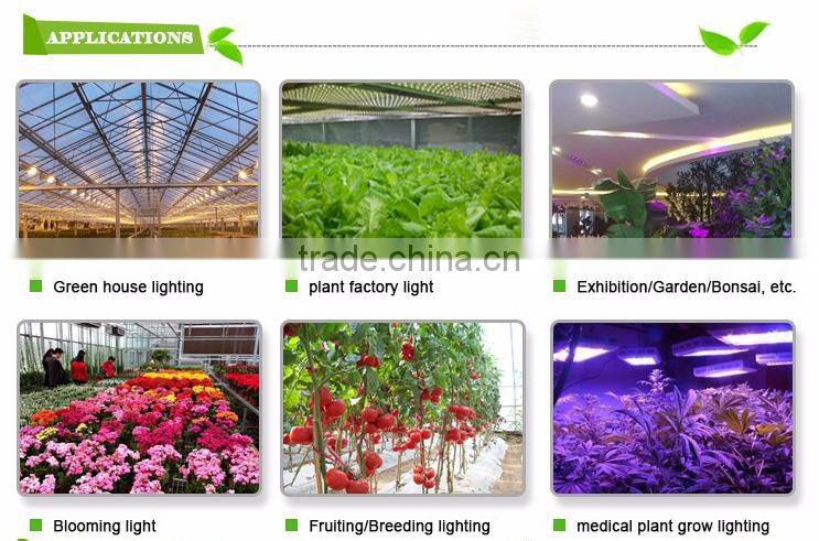Tiny houses hydroponic growing systems full spectrum UV & COB LED plants grow light