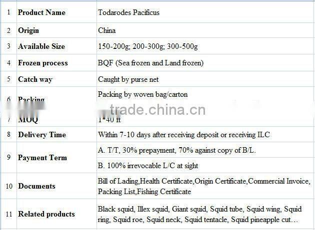 Whole Round BQF Frozen Todarodes Pacificus Squid
