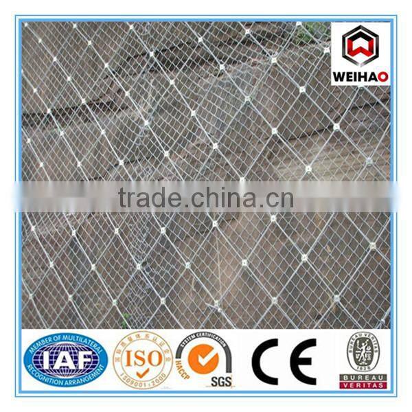 High quality slope protective screening mesh