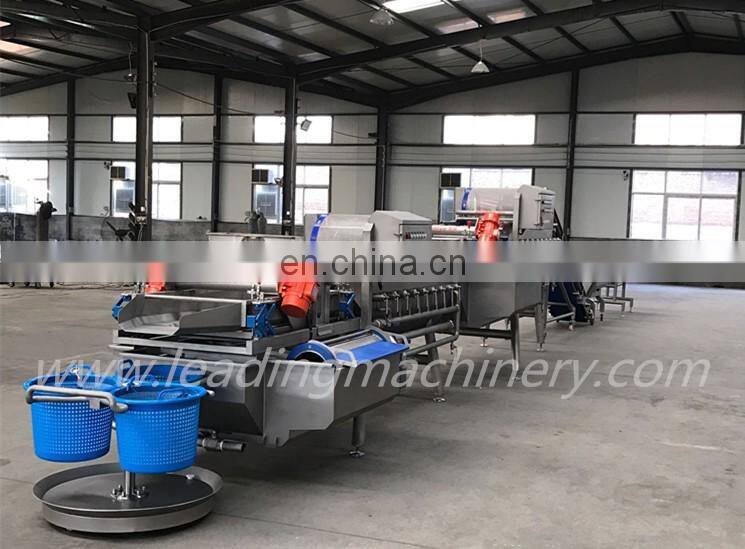Fruit and vegetable washing and drying machine