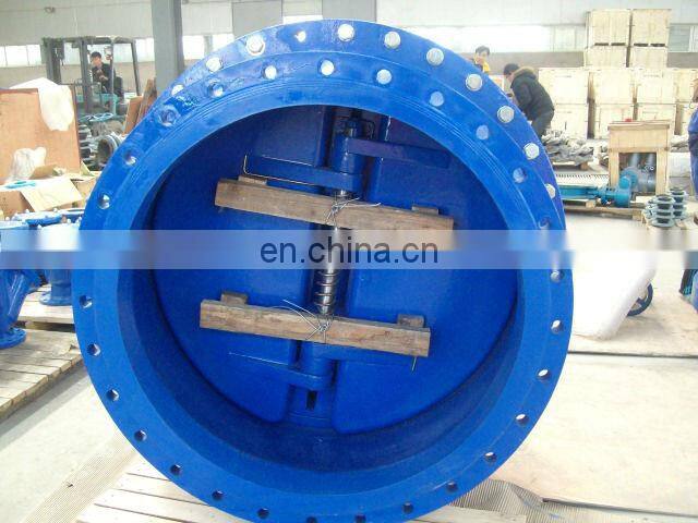 Cast Iron /GG25/GGG40/GGG50 lug dual plate check valve