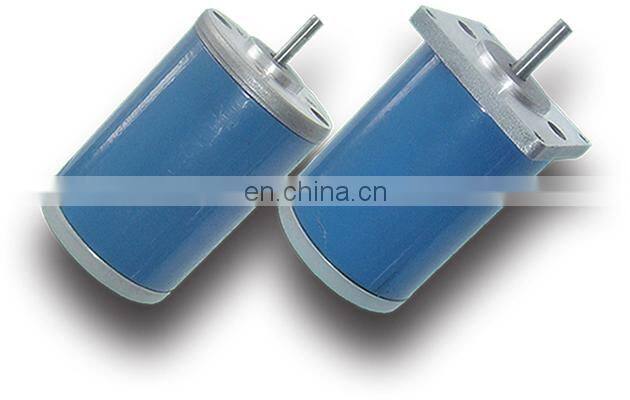 Customizable High Speed Low Torque 12V 3000RPM Micro Brushed DC Electric Motor BMM362M3