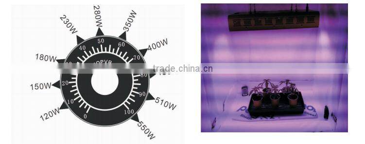 Hot selling !!!Noah 6 LED grow light for plant with comprehensive function