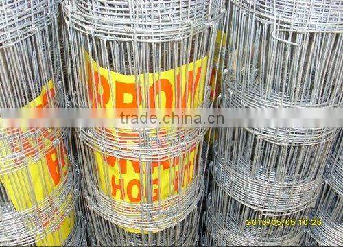Welded Wire Mesh with personal factory
