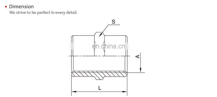 SNS pneumatic BL Series female thread straight connector adapter brass pipe fitting long Hex coupling nut