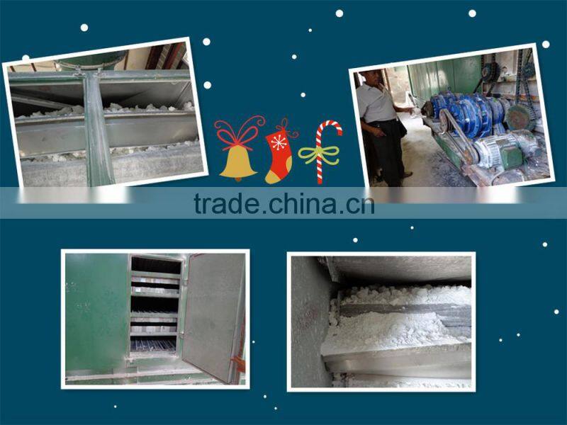 Mesh belt dryer for particle feed