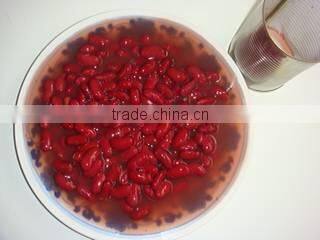 canned British red kidney beans,British red, kidney bean