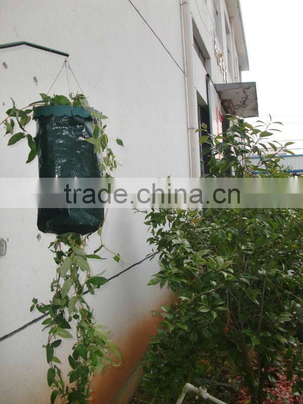 Upside Down Hanging Herb Tomato and Strawberry Planter Bag For Planting