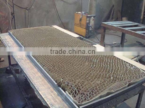 Stainless Steel Tempered Glass Swing Door Pivot Front Door (CF-150)