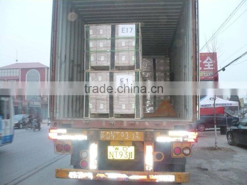 hot sale chemical anchor bolt for concrete fixing made in china