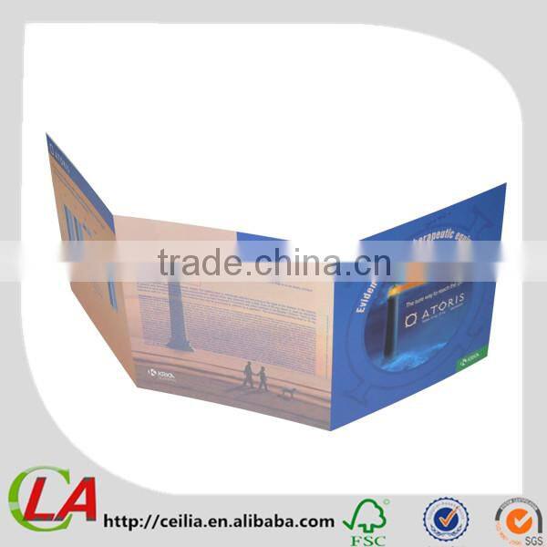 Full Color Best Paper Printed Leaflet In Guangzhou