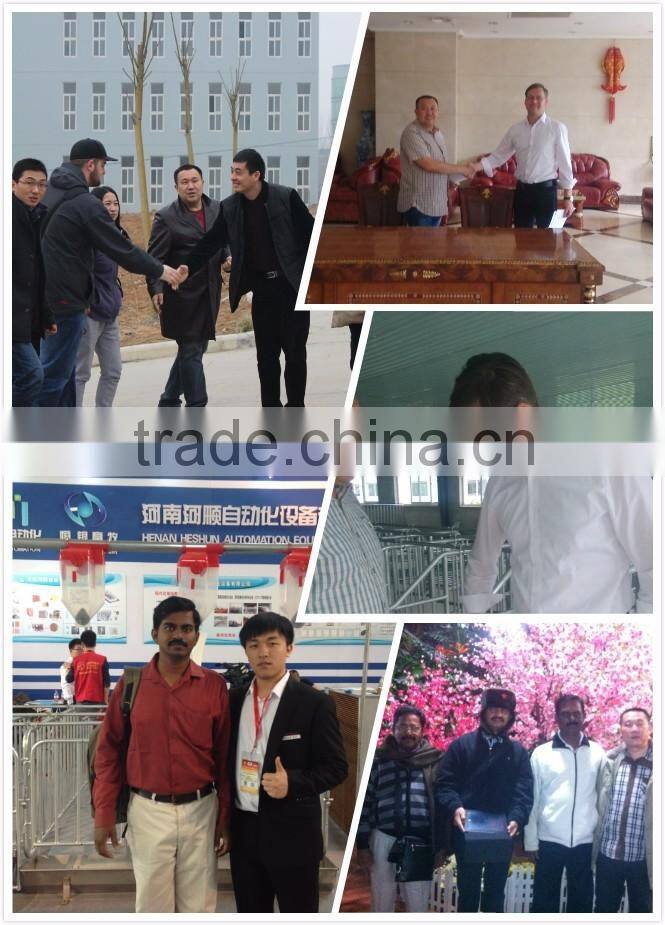 Poultry farming equipment for pig