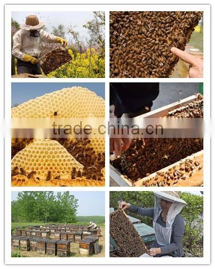 Wholesale pure natural cosmetic grade beeswax