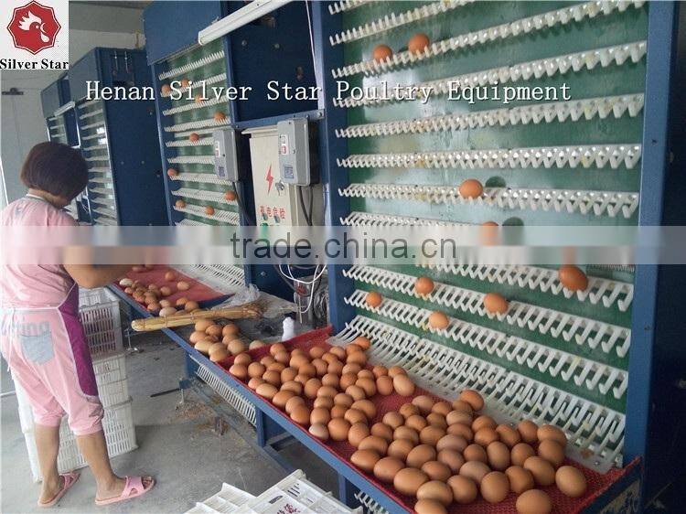 3 tier design A type ladder layer cages for chickens with scarpper manure removal system