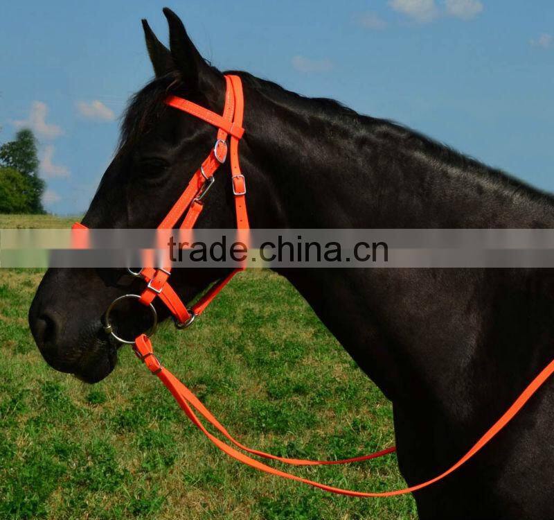 colorful leather horse halter