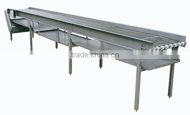 conveyor for food processing industry