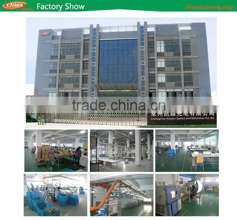 competitive price waterproof stainless steel CE ROHS IP65 LED garden light induction lamp