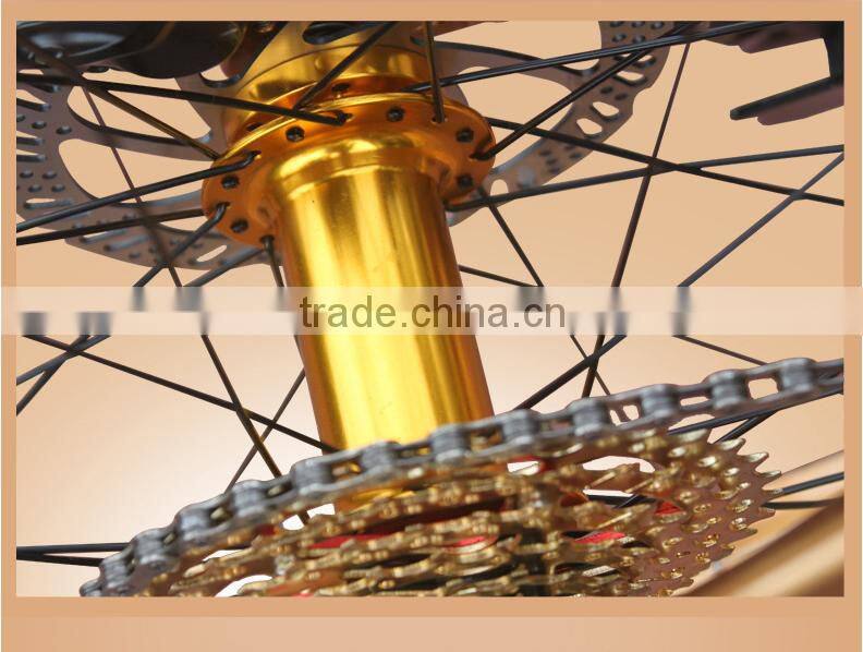 Export Worldwide Countries Fat Tire Beach Cruiser Bike Snow Sand Bike