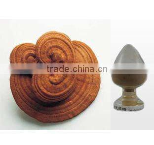 GMP BNP Best Quality reishi capsule