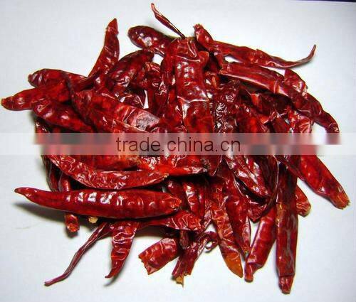 HOT SPICY RED CHILI EXPORTER