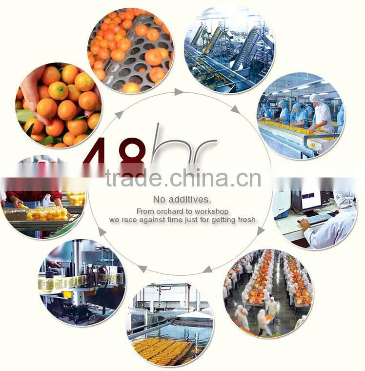 Wholesale Fruit Pulp Jelly Cup Fruit in Syrup