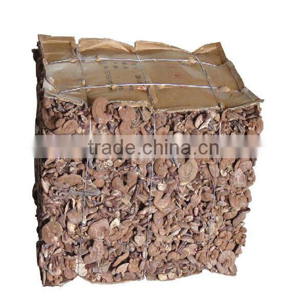 factory price and manufacturer hydraulic waste cotton bailing press machine