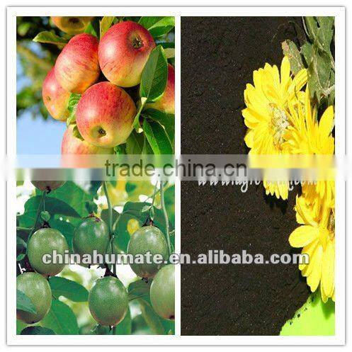 Agriculture Potassium Humate fertilizer used in west soil conditioner
