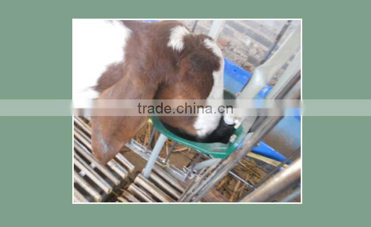 Agricultural Equipment Plastic Sheep Water Bowl