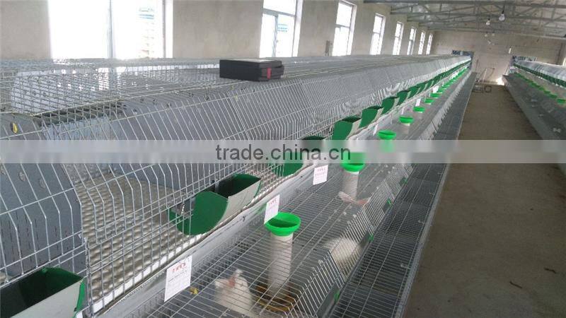 New design high quality rabbit cages for sale ISO certificate rabbit cage/vertical cage