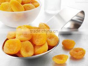 Apricot Multiple layer continuous type mesh belt dryer