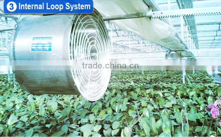 Commercial hydroponic systems for vegetable greenhouse