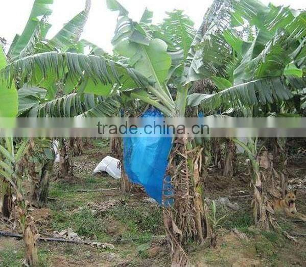 fabric UV resistant banana bunching cover use for agriculture