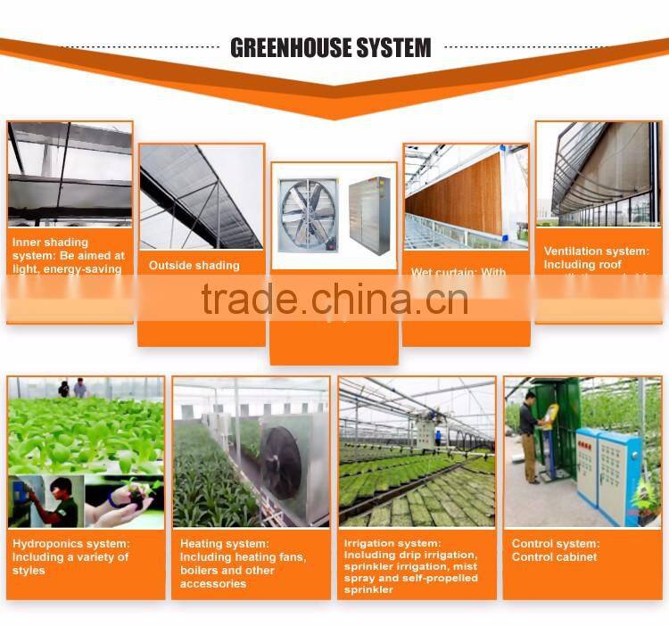 China supplier multi-span plastic film agricultural greenhouse for sale