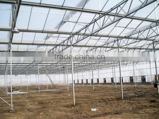 Hot dip galvanized steel structure skeleton plastic intelligent greenhouse