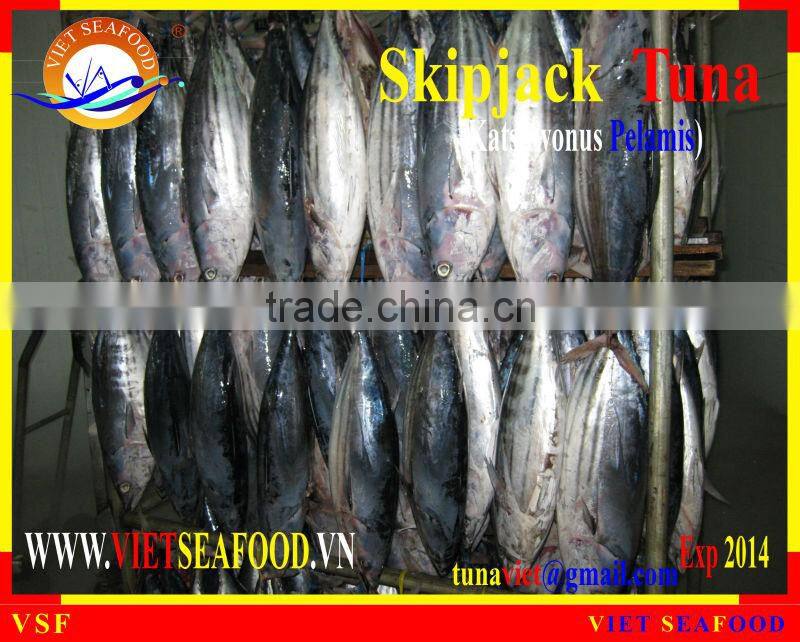 FROZEN W/R SKIPJACK TUNA