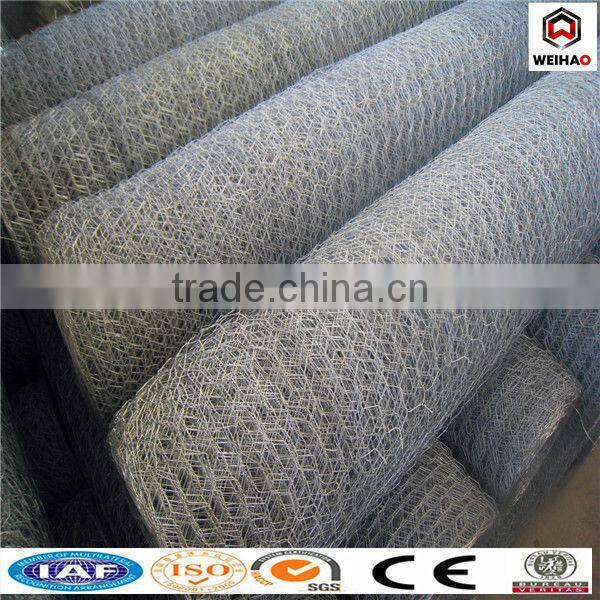 PVC and GI Hexagonal Wire Mesh